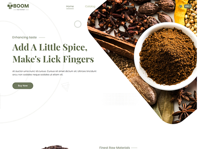 Boom- Spices Shopify Theme ecommerce graphic design responsive shopifytheme theme webdesigner webdeveloper website websitedesign