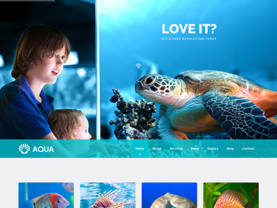 Veda Aquarium Demo aquarium ecommerce fishing multipurpose responsive theme web design website website design wordpress