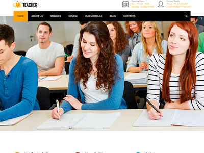 VEDA Private Teacher Demo college education responsive school teacher theme university web design website website design wordpress