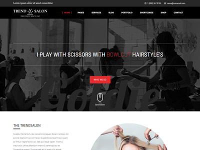Trend Salon - Haircut, Hair Salon & Hairdresser Theme barber beauty health responsive salon spa theme web web design website design wordpress