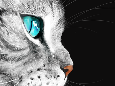 Cat cat digitalart drawing drawingart drawings illustration procreate procreate art