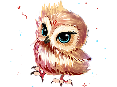 Owl