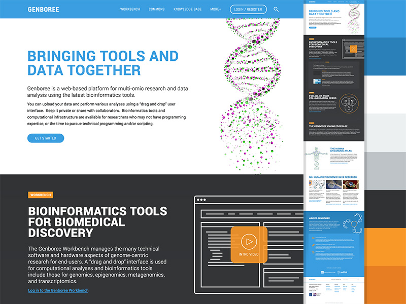 Genboree Bioinformatics