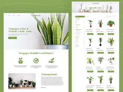 Goodplants design landing page market plant shop page ui ux ui website concept website design