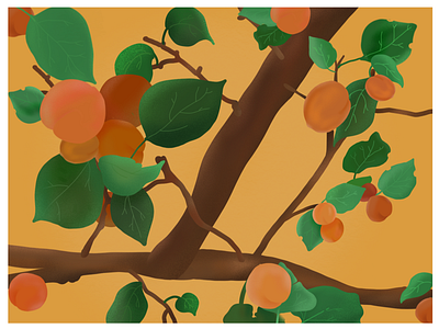 Love Apricots? apricot art blue doodle fruit illustration minimal mustard peach procreate