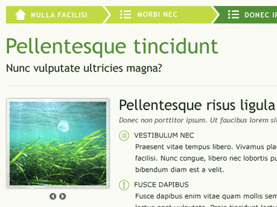 Plant ID App breadcrumbs green organic scientific trebuchet typography verdana