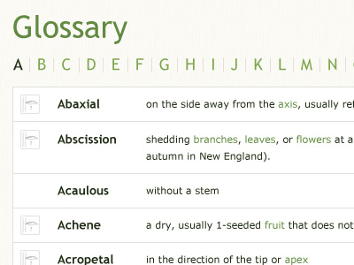 Glossary