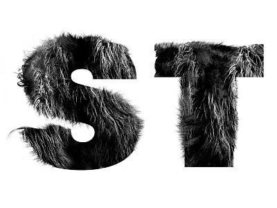 Beast 04 black black and white fur furry photo illustration type typography white