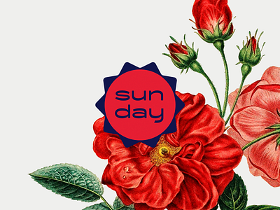 Sunday Branding blue branding floral flower identity logo red sunday type typography
