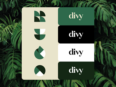 divy - exploration brand identity branding colors divy hipster identity identity design youthful