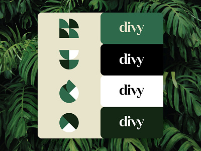 divy - exploration