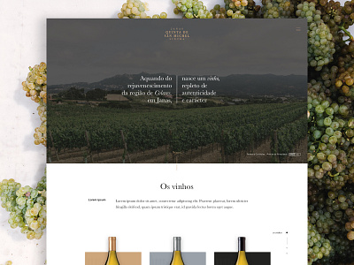 Quinta San Michel HomePage design homepage ui web website wine