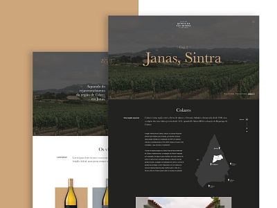 Quinta san Michel Page design graphic design ui web website wine