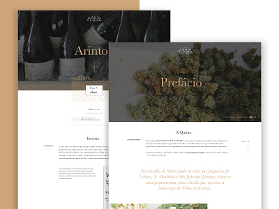 Quinta San Michel wine pages design pages ui web webdesign wine