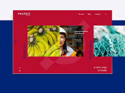 Products to trade - Palosic branding colors design items logo modules typography ui ux web website