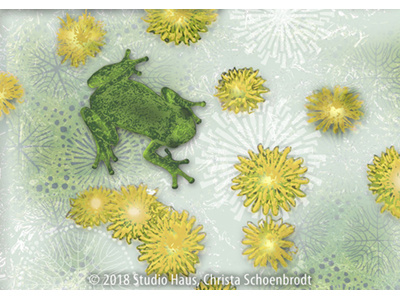 Frog and Dandelions abstract dandelions frog illustration