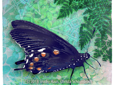 Red Spotted Purple Butterfly with Ferm digital art illustration fern butterfly mixed media