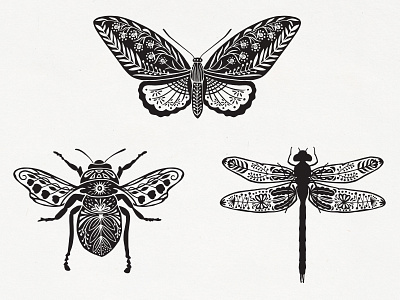 Vintage Insects Collection