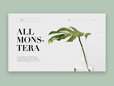 All Monstera