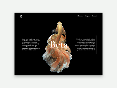 Beta app beta black branding design fish flat gold icon identity lettering minimal type typography ui ux web website