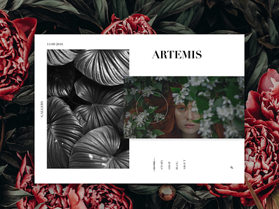 Artemis branding design fashion flat geometic godness goldenratio grid identity lettering minimal photography type typography ui web website