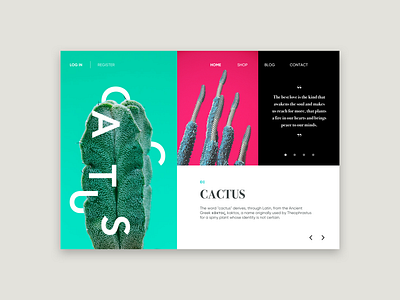 Cactus app branding design flat geometic icon identity lettering logo minimal mobile photography type typography ui ux web website