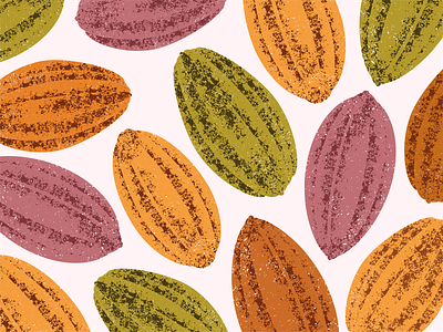 Cacao cacao chocolate cocoa beans food illustration sweet tasty textured vector vintage xara