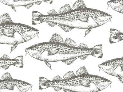 Codfish Pattern arkhangelsk codfish fish illustration inside liner note russia treska vector xara