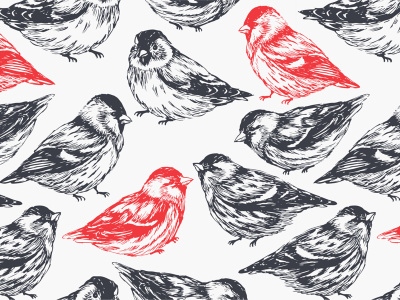 Birds bird cover drawn illustration journal pattern shutterstock spb vector xara