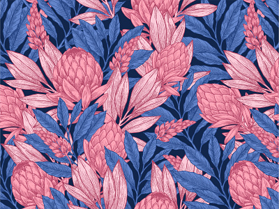 Wild Protea pattern floral jungle leaf line pattern print protea vector wild xara
