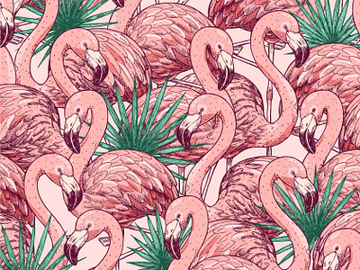 Flamingo