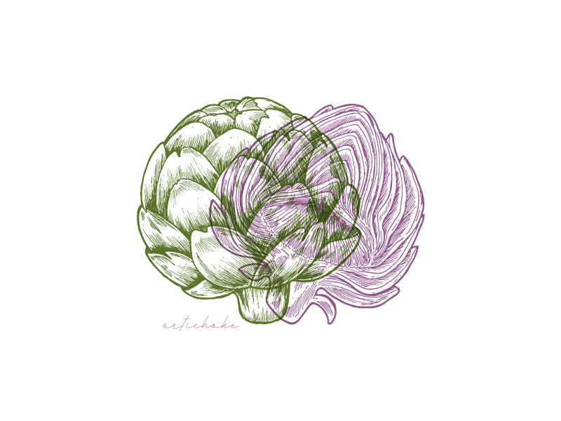 Artichoke xara vegetable vector sketch line ink illustration artichoke anaglyph 3d