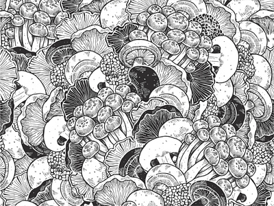mushrooms illustration ink line mushrooms pattern truffle various vector xara