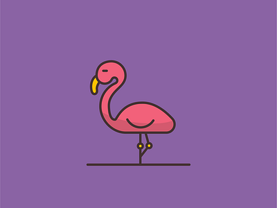 flamingo flamingo graphic icon illustration illustrator vector