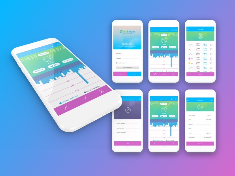 Herdinsight dribbble
