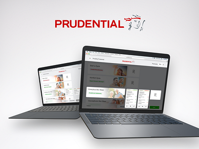 Prudential PreSales App Design prudential teddygraphics ux uxjuice