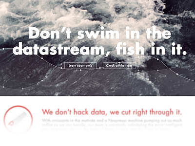 qunb about page about about page big data data fish team team page
