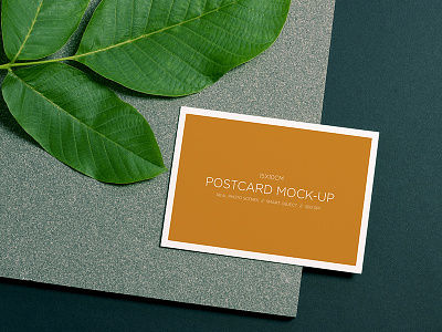 Postcard Mockup green layers leafs minimal mockup postcard product stone