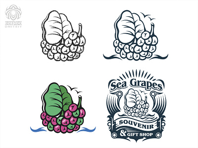 Logo design process boat brand branding development logo fruit grapes identity leaves logo logo designer logo process logotype order logo sail sea sea grapes