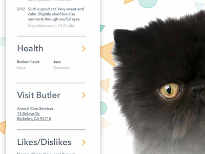 Butler animal cat fluffy health kitty pet profile
