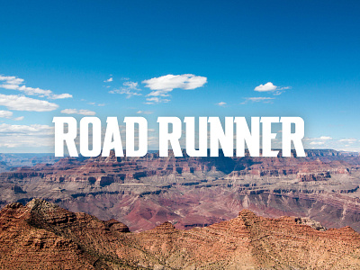 Road Runner font graphic design sports font sports logo type typography