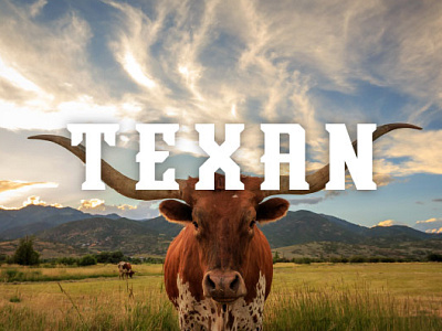 Texan font graphic design sports font sports logo texas type typography