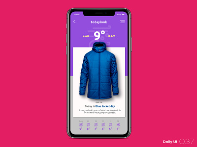 Daily UI #037 037 clothes dailyui weather