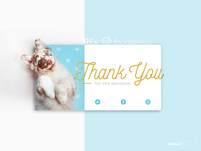 Daily UI #077 077 dailyui dog donation thankyou ui