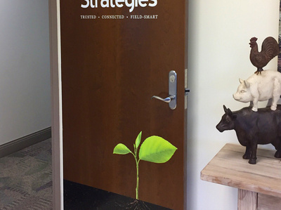 Door Graphic for Versant Strategies branding graphic indoor