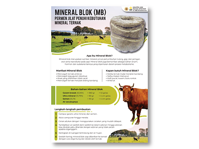 Mineral Blok KKN (Infographic) design indonesia infographic kkn kuliah kerja nyata milk mineral blok poster poster kkn sapi ugm