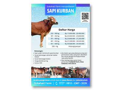 Qurban Poster #2 cow design farm indonesia infographic jawa barat jual kurban poster qurban sapi ternak