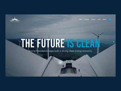 THE FUTURE IS CLEAN responsive website ui ux website websites