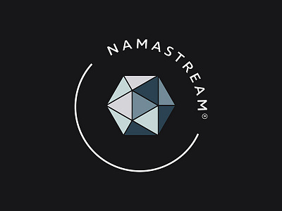 Namastream Logo and Icon brand design brand identity branding design graphic design icon design logo logo design small business