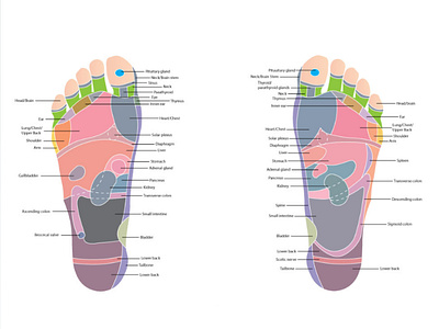 Foot Reflexology